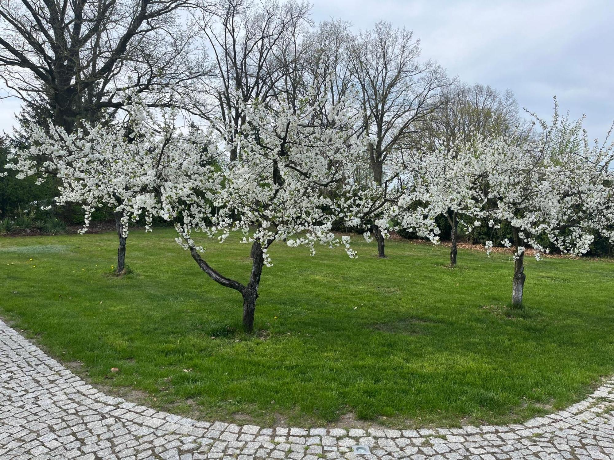 "Wisniowy Sad"Agroturystyka Ilawa Bagian luar foto